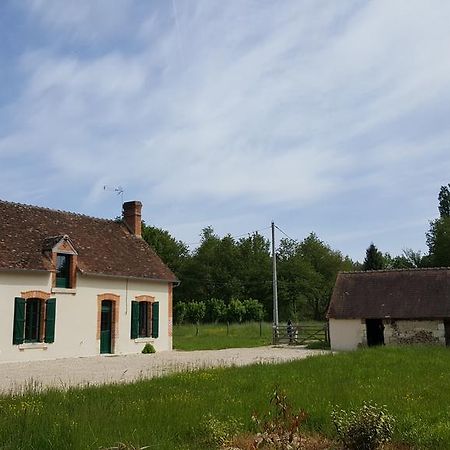 Les Brosses Villa Mur-de-Sologne Bagian luar foto